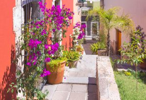 Rynek nieruchomości w Alicante: Odkryj oferty mieszkań i apartamentów na sprzedaż